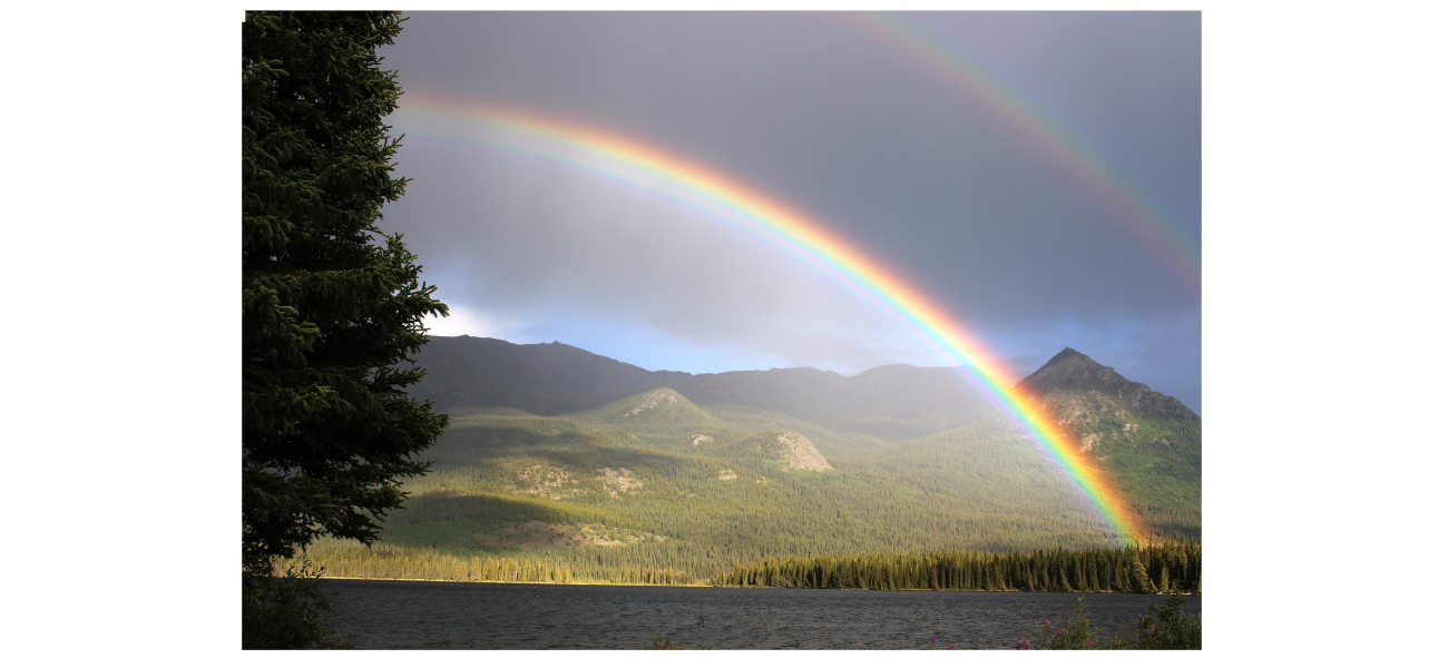 Politikerne lytter til velgerne